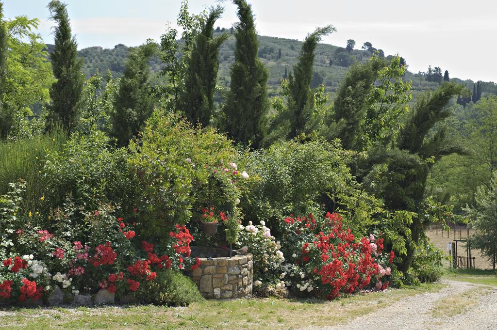 La Buca Di Montauto Hotel San Gimignano Esterno foto